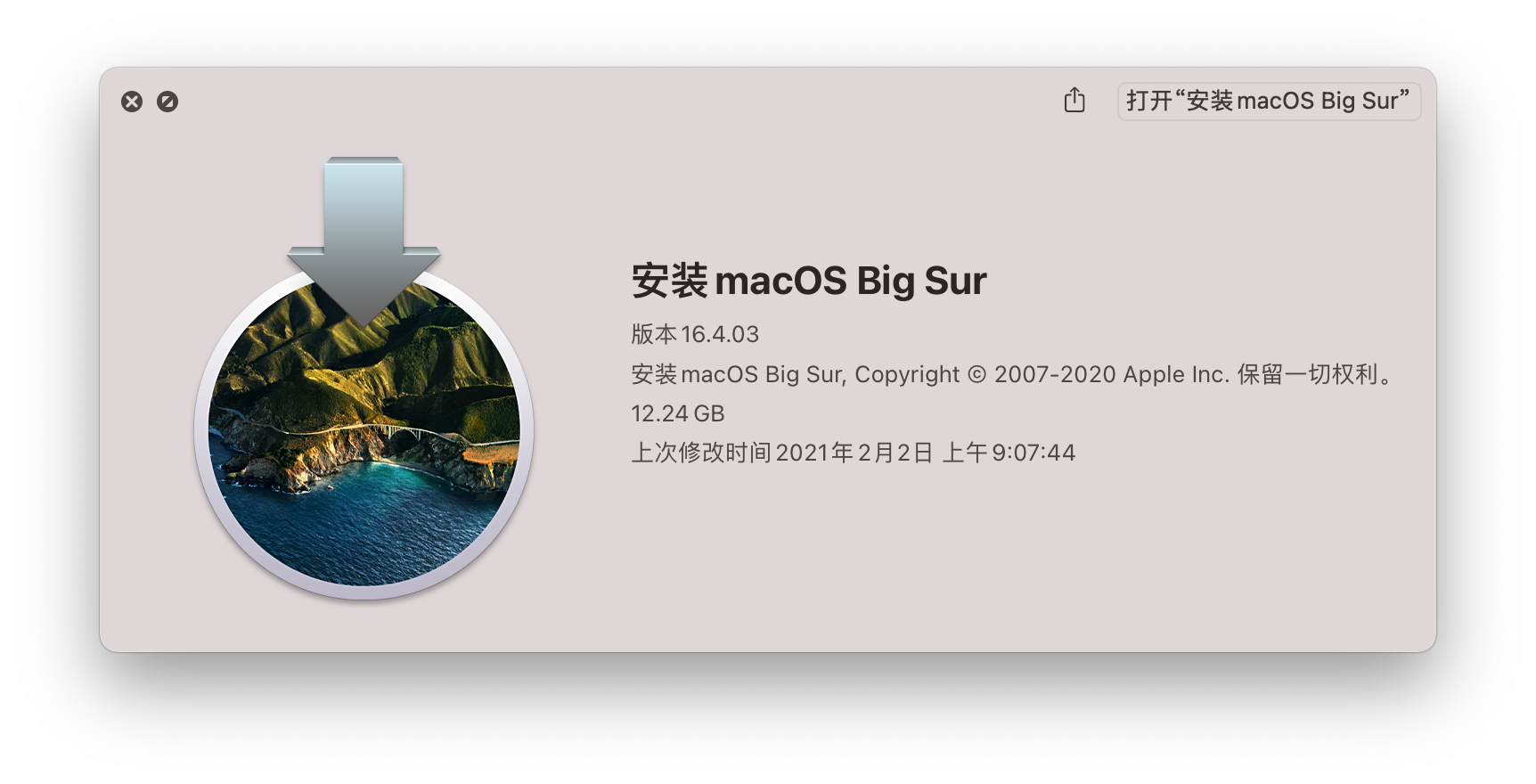 macOSBigSur11.2.120D75InstallerforOpenCore0.6.6andCLOVER5129andPE三EFI分区原版镜像